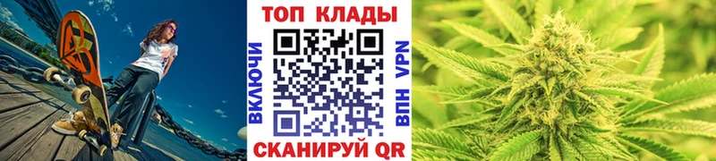 Купить закладку Бошки Шишки  Меф мяу мяу  Амфетамин  Альфа ПВП  ГАШ  КОКАИН  Дмитровск